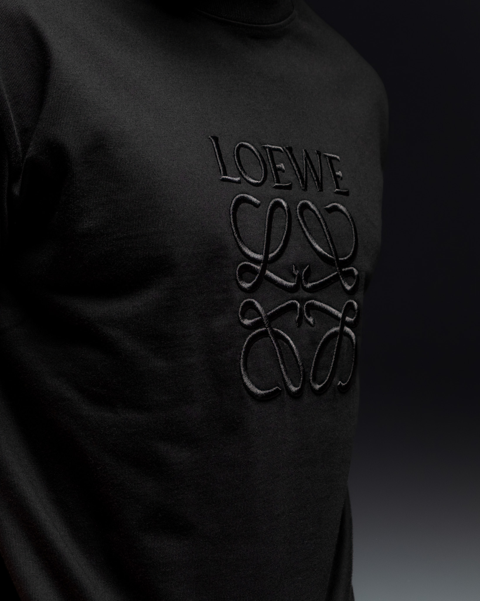 Loewe T-Shirt “Shadow Emblem”
