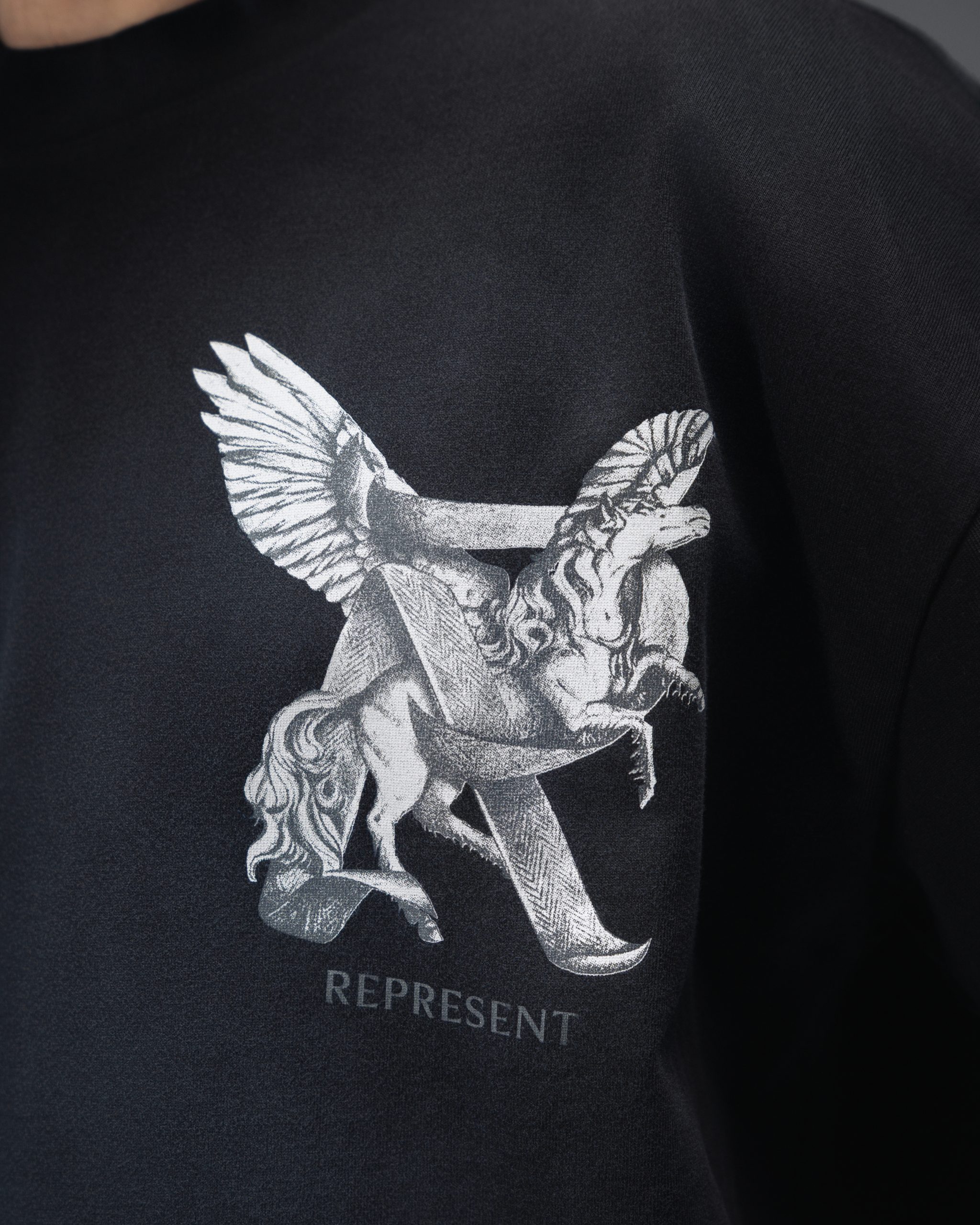 Represent Shadow Pegasus Black T-Shirt